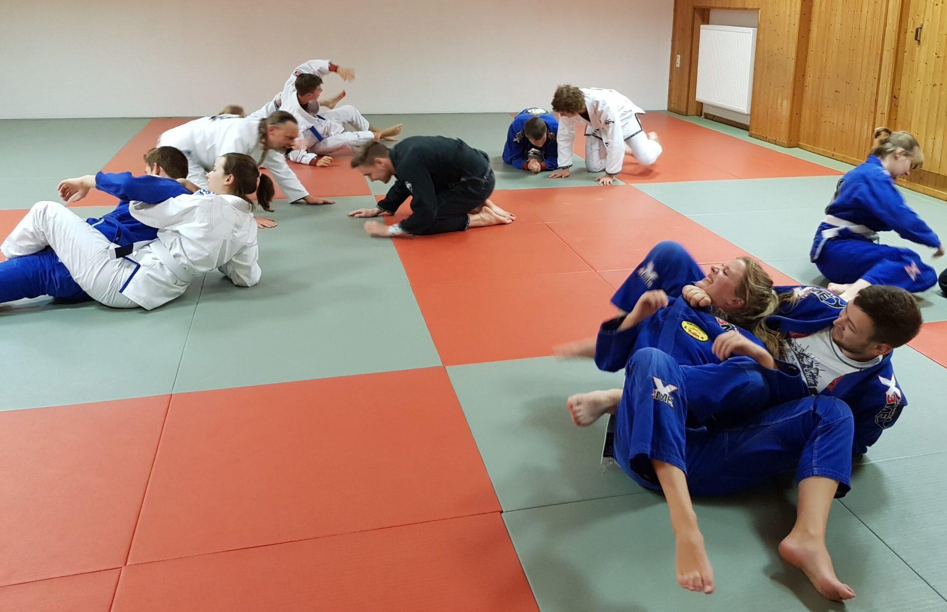 BJJ Training