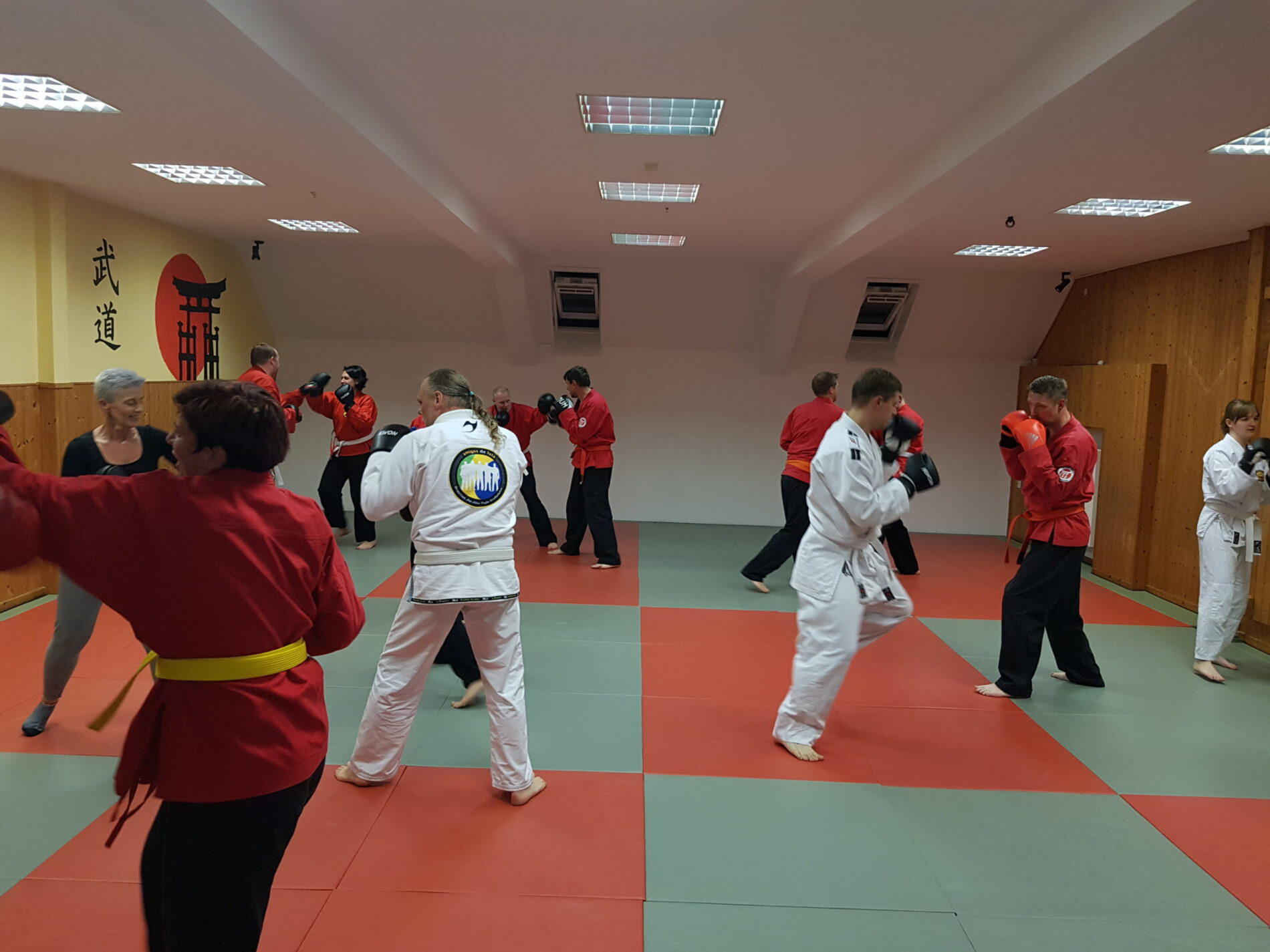 ECF Selbstverteidigung